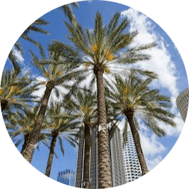 Tampa